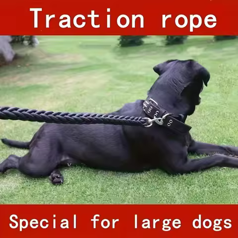 Comfort-Strong 5-Foot Braided Dog Leash: Ideal for Effective Training & Enjoyable Walks. Durability