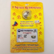 100% original Rudraksha with lab certification 1 face to 11 face spiritual