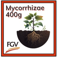 Mycorrhizae Root Booster - FGV made