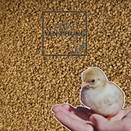 Combo Bran Flakes 2KG / 5KG for Chicks - Smooth, Easy-to-Eat Food, Helps Chicks Stay Healthy and Gro
