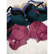 Women B cup Wired Bra 8810 (36B - 42 B) Ladies bra/baju dalam