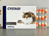 CYSTAID - Cystaid Cat Plus For Urinary Tract / Obat Gangguan Saluran Kencing Kucing Obat untuk FLUTD