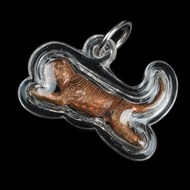 龍波素(龍婆素.龍普素)大師.神幕沙空省瓦嘎龍寺督造2560躍虎