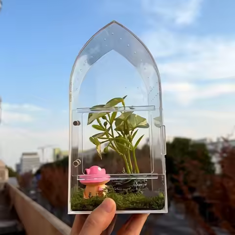 Transparent Acrylic Reptile Box Anti-escape Ventilated Spider Terrarium Buckle Lock Insect Habitat B
