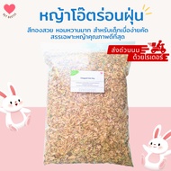 Golden Oat Grass For Rabbits Gatsby 400g/1kg Dustless | From Australia Timothy Hay Rabbit Food