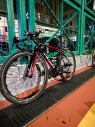 S-Works Tarmac SL6 碳纖維公路車