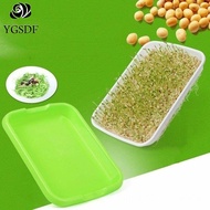 YGSDF Harmless Natural Nursery Pots Plastic Wheatgrass Green Gardening Tools Hydroponic Vegetable Soilless cultivation Seedling Tray