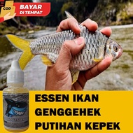 Essen Ikan Genggehek Putihan Kepek Wader Sirip Kuning Isi 30ml