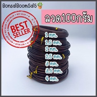 ลวดดัดบอนไซไม่เป็นสนิม น้ำหนัก100 กรัม (Bonsai Boom Sai5)