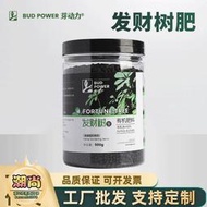 發財樹肥料專用肥家用緩釋肥招財樹幸福樹金錢樹通用復合肥花肥