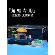 Set for Horned Frog Special Ecological Tank Dry-Wet Separation Horned Frog Landscaping Reptile Pet F