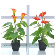 Simulation Plant Bonsai Simulation Flower Horseshoe Lotus Green Simulation Plant Potted Plant Bonsai