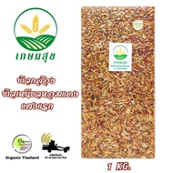 ข้าวกล้องข้าวเหนียวหอมแดงแสงแรก Red Aroma Rice Germinated ตรา เกษมสุข organic ปลอดสาร ขนาด 1 กก. ข้า