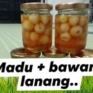 MADU+ BAWANG LANANG@BAWANG PUTIH TUNGGAL