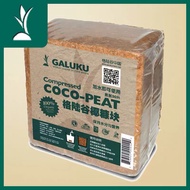 60L cocopeat brick/ cocopeat soil, Galuku cocopeat brick