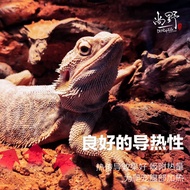 Reptile Stone Desert Bedding Climbing Pet Sand Desert Desert Lizard Gecko Tortoise Desert Desert Lan