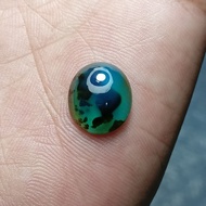 bacan doko super coklat natural