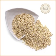 Job's Rice (Selected Pearl Barli) Pearl Barley Barli