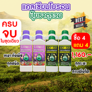 ( 4แถม4 ) CABMAX แคลเซียมและโบรอนเข้มข้น + VAMAX ธาตุอาหารรวมเข้มข้น 8 ลิตร