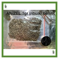 PROMO / TERMURAH READY STOCK BENIH / BIJI / BIBIT BEJO ANIZEL SELADA