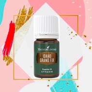 Original Pack Young Living Idaho Grand fir 5ml