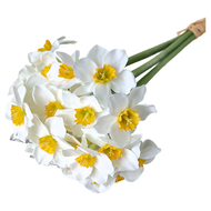 FLORAL M 浪漫冬季西洋水仙花仿真花花材