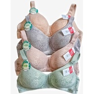 Elena Thin Foam Wire Free Bra E22006 Size 34B-42B