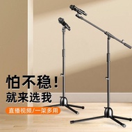 Mobile Phone Live Streaming Photography Stand Telescopic Boom Arm Condenser Microphone Live Streamin