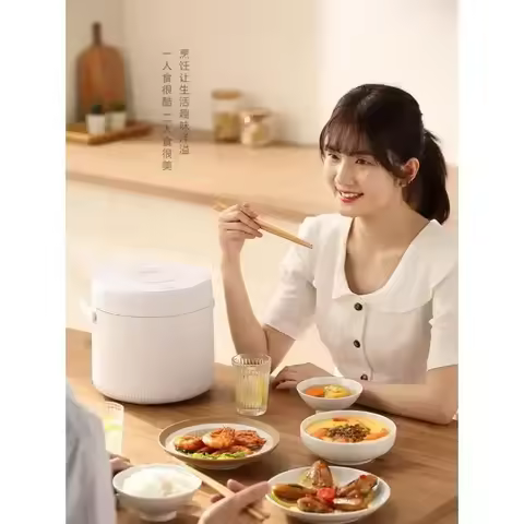 Mini Rice Cooker 110V 220V Dual Voltage Small Rice Cooker for 1 to 3 People Japanese Export Househol
