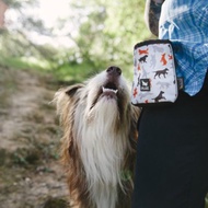 露營野趣 隨身寵物訓練袋 飼料袋 腰包 外出包 (2色)