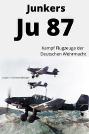 Junkers Ju 87 Jürgen Prommersberger