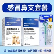 Pet cats and dogs amoxicillin tablets doxycycline hydrochlor宠物猫咪狗狗阿莫西林片盐酸多西环素片猫鼻支感冒咳嗽鼻涕流眼泪3.6
