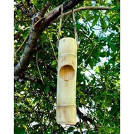 Bamboo bird perch, super jumbo bird perch, best Universal bird perch