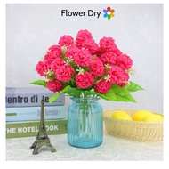Hydrangea with 9 small flower heads decorates living room, tea shop, deco, shop decoration, photogra