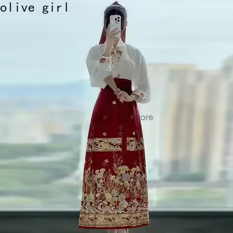 Traditional Chinese Hanfu Horse Face Skirt Vest mamianqun Short Skirt Set Embroidery Top Printing Ho