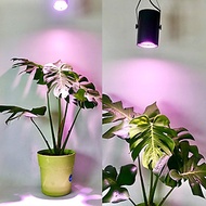 Đèn Trồng Cây Trong Nhà - Đèn Nông Nghiệp 45W tạo ánh sáng "giả lập mặt trời" giúp cây trong nhà phá