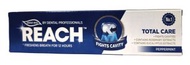 REACH 強勁薄荷牙膏 150克(藍色) 1件