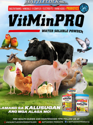 Battlecock VitMinPro Powder 1kg for Gamefowl Rooster vitminpro powder sachet