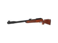 GAMO CFX ROYAL CAL.22 / 5.5mm