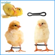 Wor* 50 100Pcs Baby Chicken Splay Leg Hobble Brace Adjustable Poultry Leg Bands