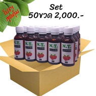NT Syrup น้ำเชื่อมเข้มข้นตราเอ็นที ( 1 ลัง 50 ขวด 2000- )