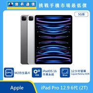   Apple 平板 iPad Pro 12.9 6代 (2T)
