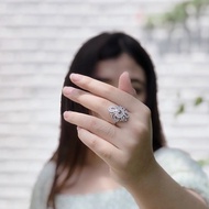 925 silver women's ring, everyday stainless steel women's ring, luxury women's party ring (QIN)