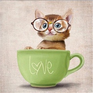 2019 Diamond Painting Full Diamond Cup Cute Cat Handmade diy