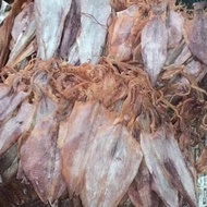 KUALITAS PREMIUM Juhi Squid Kering Makanan Laut  - CUMI KERING JUHI 100GR SIAP PROSES