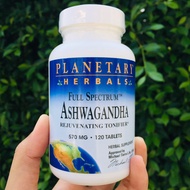 81% Sale!!!EXP:08-11/2025 โสมอินเดีย Full Spectrum Ashwagandha 570 mg 120 Tablets (Planetary Herbals