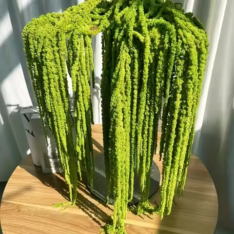 5pcs Artificial Amaranth Flower Elegant Green Hanging Flower for Bohemian Homes Parties Wedding Cent
