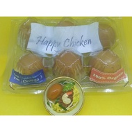 Telor Ayam Kampung Asli Organik Tinggi Omega 3 1 dus 20 packs@6 butir