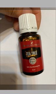 Young Living 精油 茶樹精油 tea tree 🌲