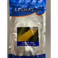 Jagung F1 Hybrid 592 Leckat 500GM